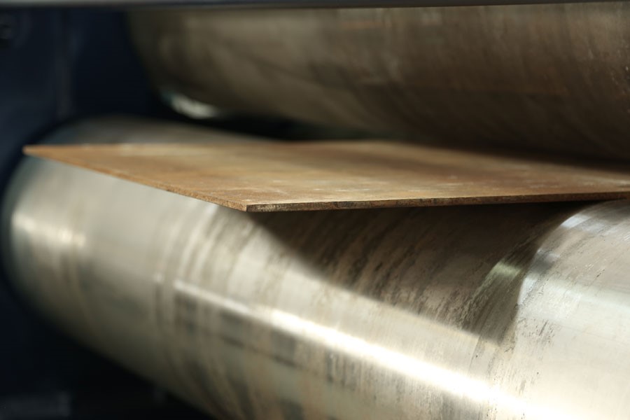 листоплав.jpg листоплав.jpg